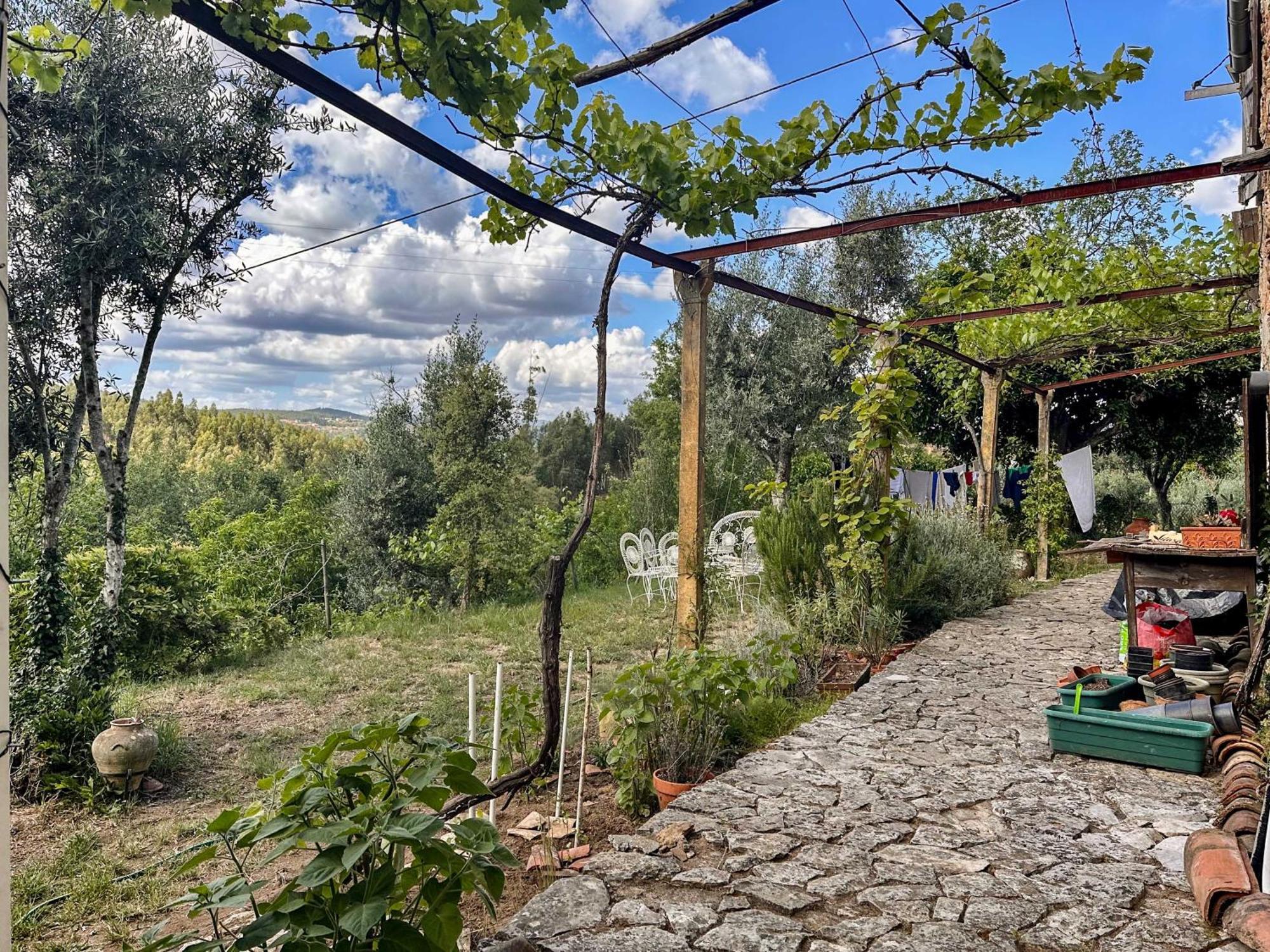 Glamping Do Ze Hotel Cernache do Bonjardim Eksteriør billede