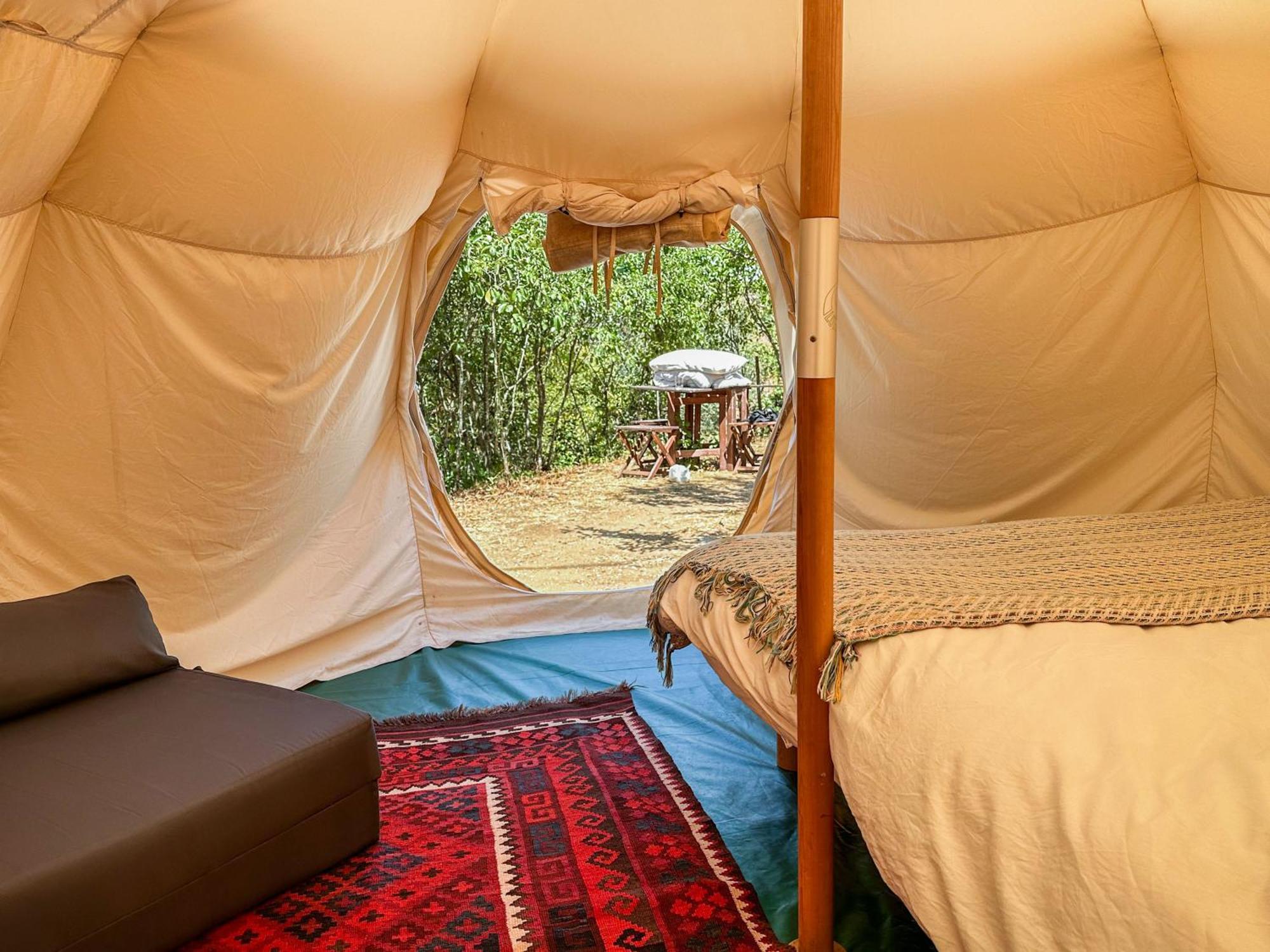 Glamping Do Ze Hotel Cernache do Bonjardim Eksteriør billede