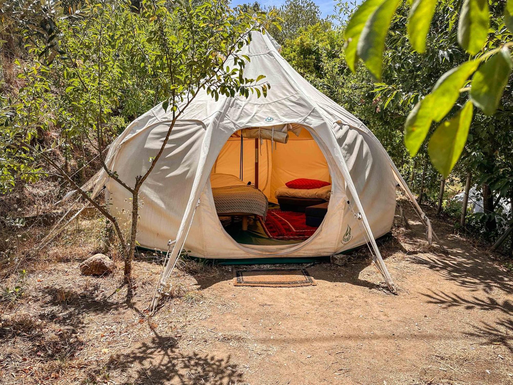 Glamping Do Ze Hotel Cernache do Bonjardim Eksteriør billede